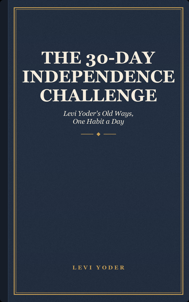 The 30-Day Independence Challenge, cover